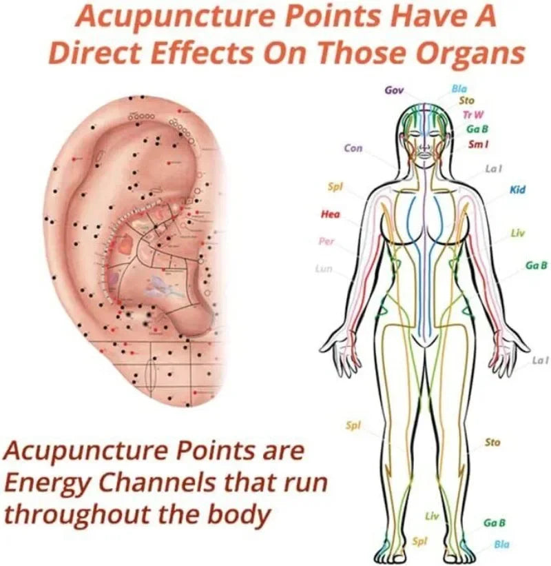 Scd75b44e21e84427b0ab5b6b66f4a621h