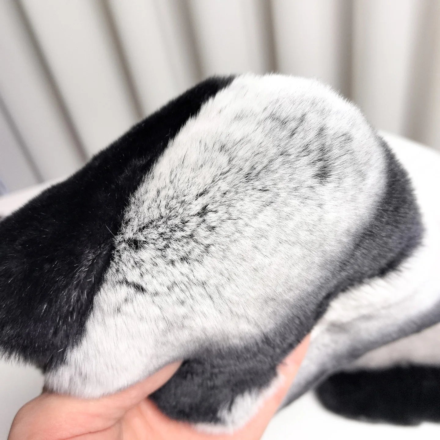 S48bfebda315d4f7c8b9a4235b119956fI