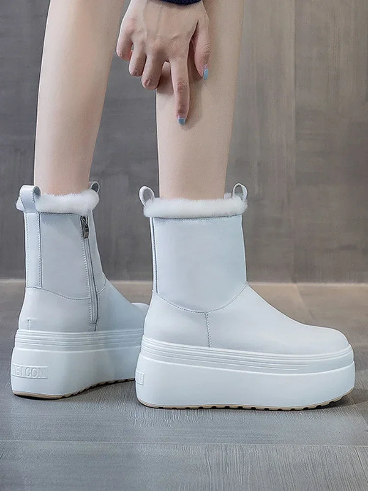 S64f92f2d13f5417598a9e240ff1e2822j